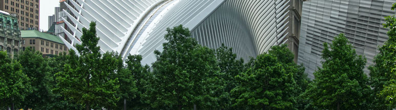 Health Sector Management Consultancy